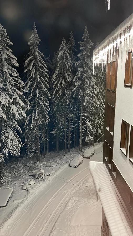 Cozy Apartment B35 In Grand Resort Pamporovo Ngoại thất bức ảnh